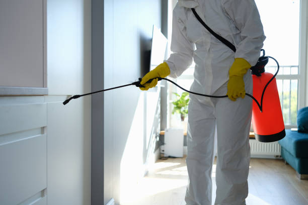 Water Damage Restoration in Madison, NC