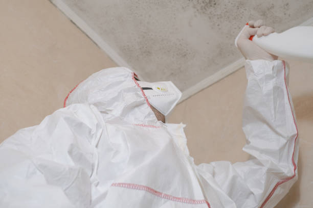 Mold Removal Process in Madison, NC