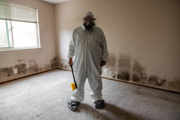 Best Mold Remediation Services  in Madison, NC